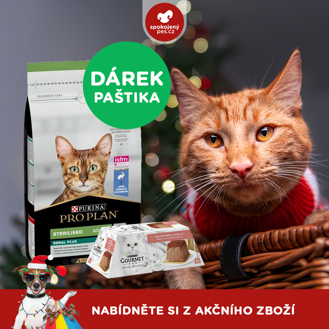 akční prosinec_kočka8.png